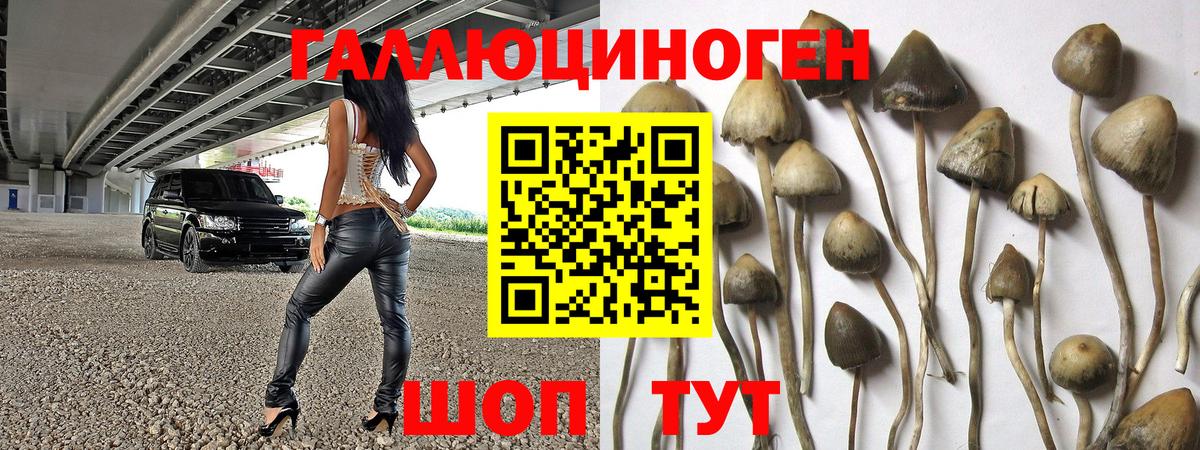 Галлюциногенные грибы MAGIC MUSHROOMS Дербент